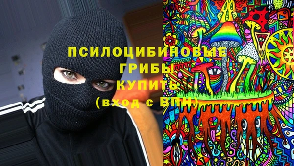 бошки Хадыженск