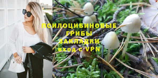 МДПВ Володарск