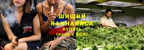 ПСИЛОЦИБИНОВЫЕ ГРИБЫ Верхний Тагил