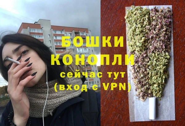 ПСИЛОЦИБИНОВЫЕ ГРИБЫ Верхний Тагил