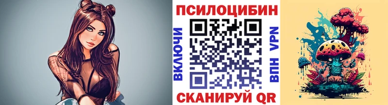 Галлюциногенные грибы Psilocybe  Любань 